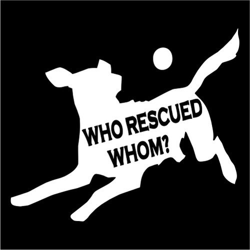 Funny Dog Playing Vinyl Decal Sticker - Waterproof Car Window, Wall, MacBook & Laptop Decal - Perfect for Pet Lovers & Office Decor