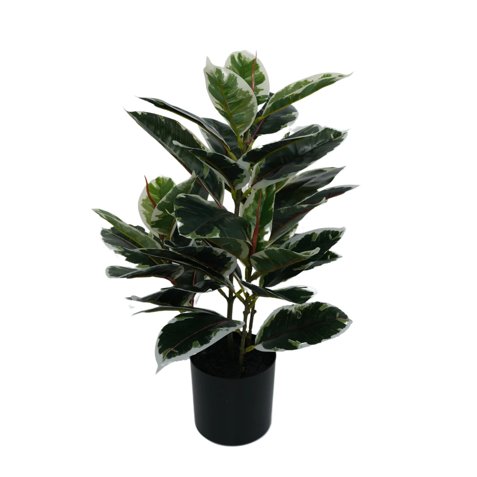 Artificial Bushy Dense Variegated Ficus Tree (Rubber Tree) 50cm - Indoor Decorative Plant for Home Office Living Room Decor - Perfect for Housewarming Gifts & Interior Design