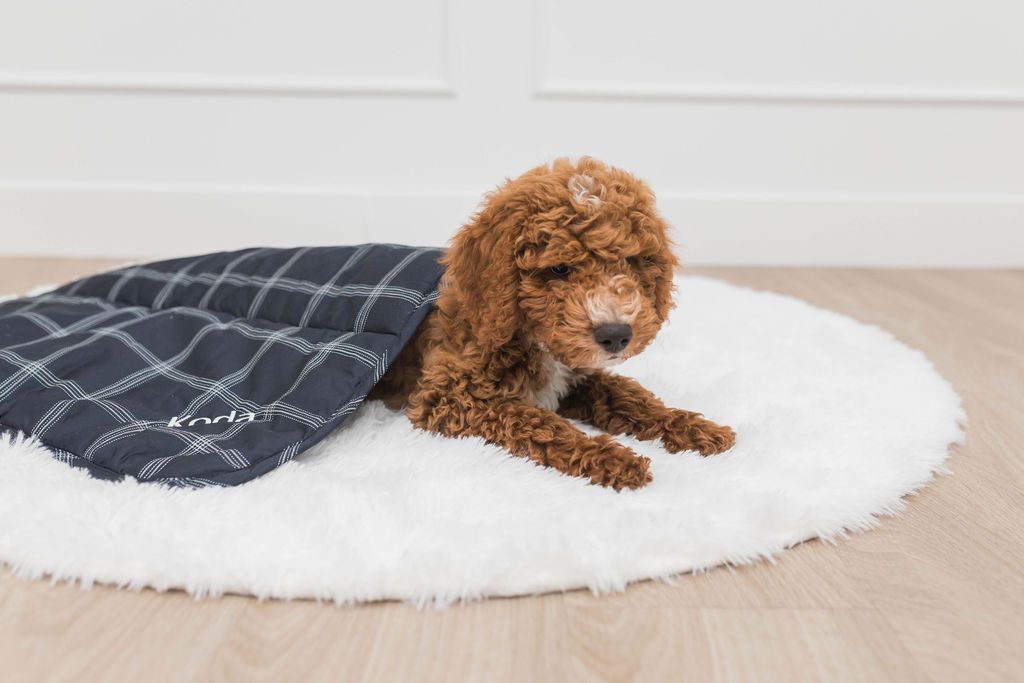 Blair Mini Blanket - Soft & Cozy Travel Blanket for Adults & Kids - Perfect for Airplane, Car, Office & Home Use