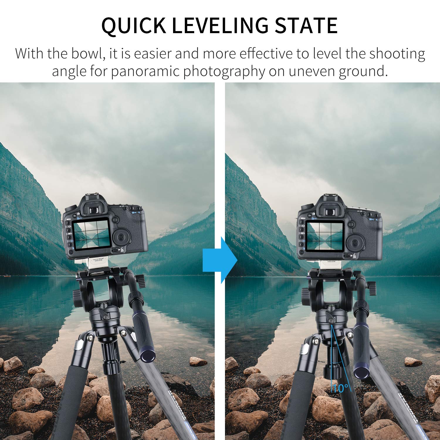INNOREL ST324CT 32mm Carbon Fiber Tripod - Heavy Duty Professional Camera Tripod with Nut Lock, 30kg Max Load, 13-158cm Adjustable Height, Includes 58mm Bowl Adapter, Carry Bag & Camera Strap - Perfect for Photography, Videography, and Outdoor Shooting