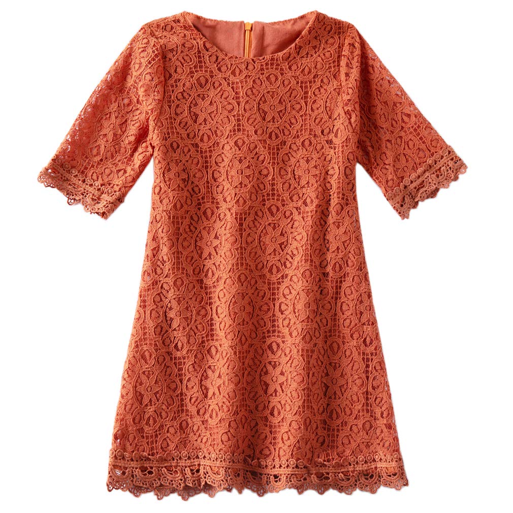 Niyage Girls Lace Toddler Dress - Elegant Flower Half Sleeve Party Princess Dress for Toddlers | Perfect for Birthday Parties, Weddings & Special Occasions