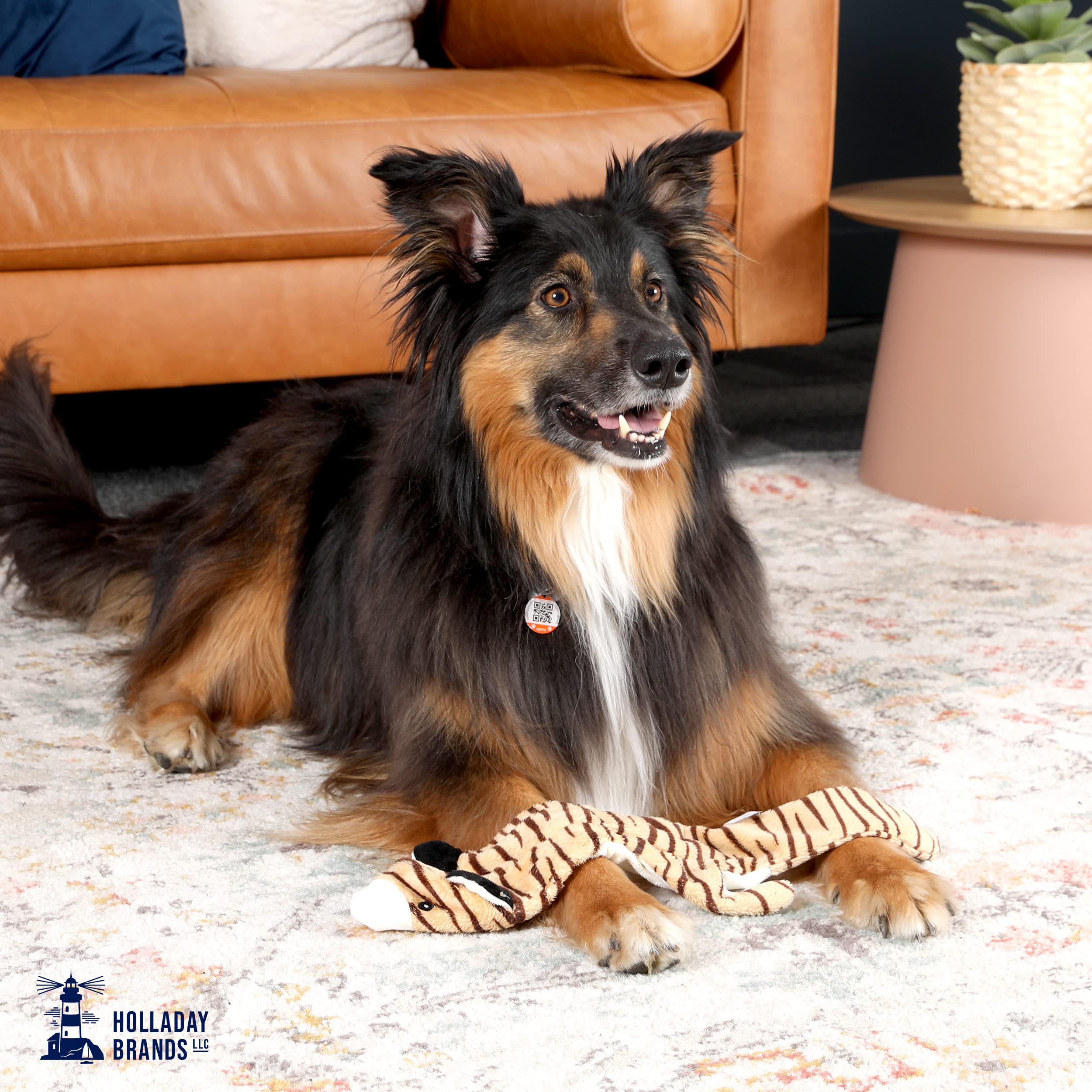 Soft Tiger Plush Dog Toy for Medium Dogs - No Stuffing, 2 Squeakers, Machine Washable & Mess-Free | Perfect for Playtime, Training, and Puppy Chewing Relief