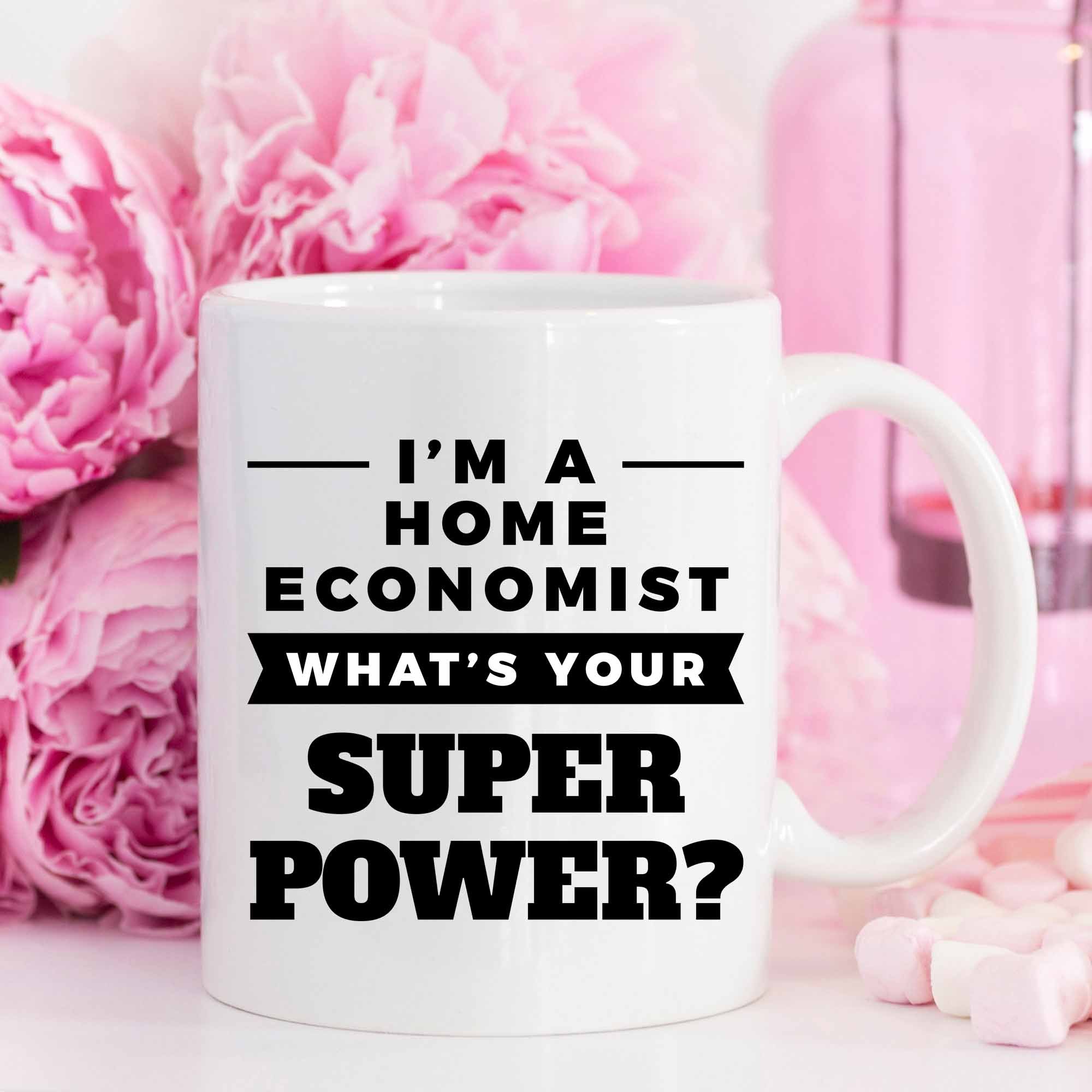 YouNique Designs 11oz Funny Home Economist Coffee Mug - Perfect Gift for Economists, Teachers & Coffee Lovers - Ideal for Office, Home & Classroom Use