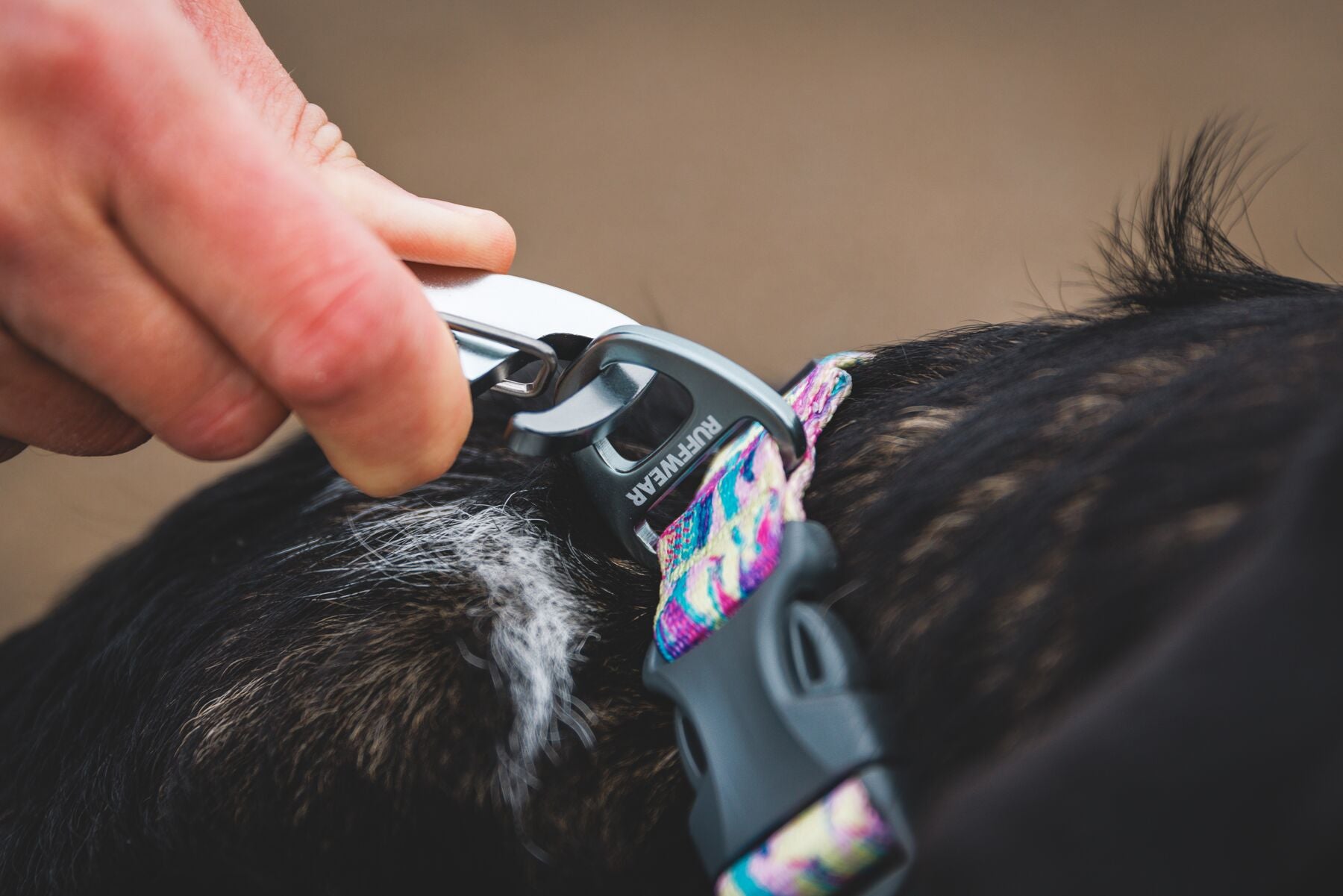 Ruffwear Front Range® Dog Harness with Wildflower Pattern - Adjustable & Reflective for Hiking, Running & Outdoor Adventures