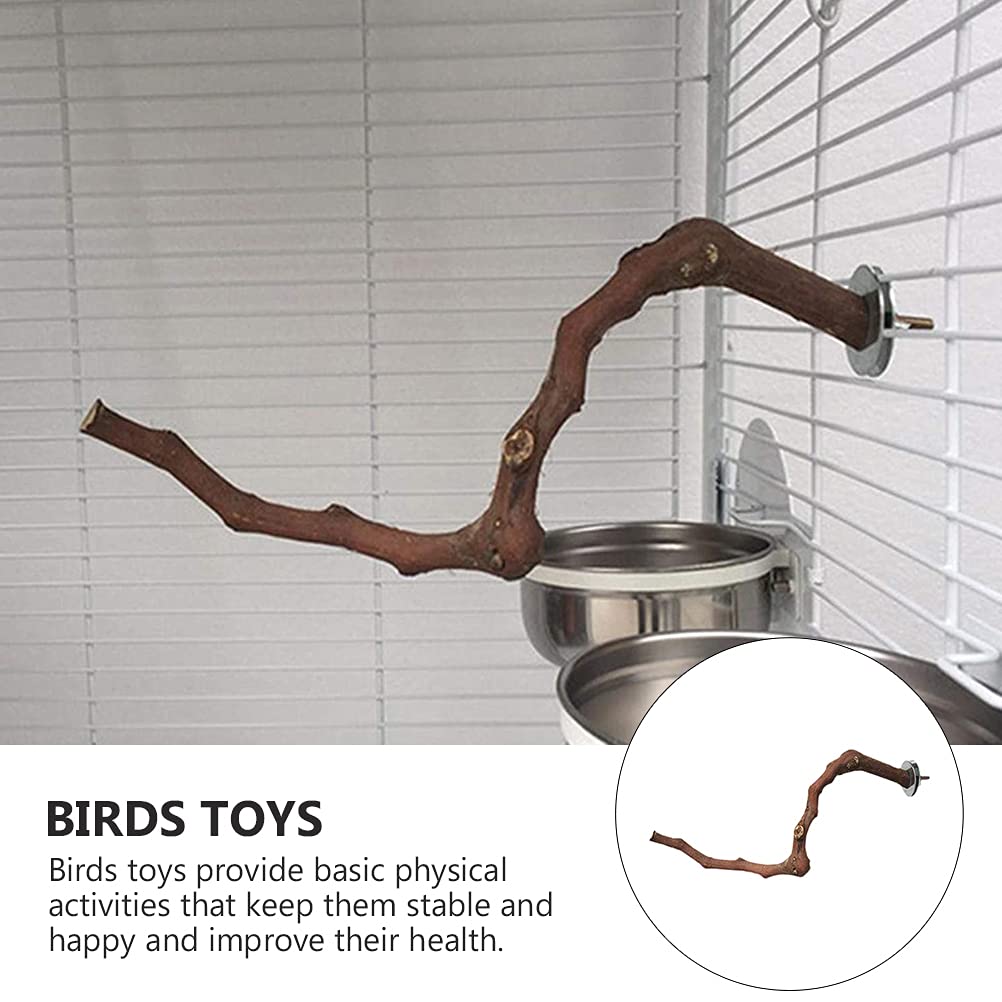 TEHAUX Natural Wood Bird Play Stand - Training Toy for Parrots, Budgies & Small Birds | Cage Accessories, Grape Wood Grinding Stick & Perch for Chewing & Playing | Perfect for Bird Exercise & Beak Trimming