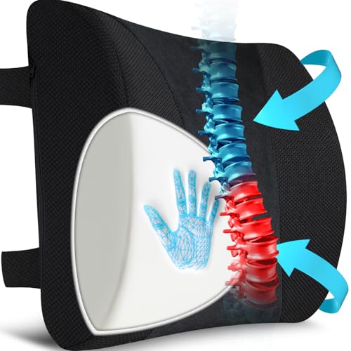 Updated Lower Back Support/Black