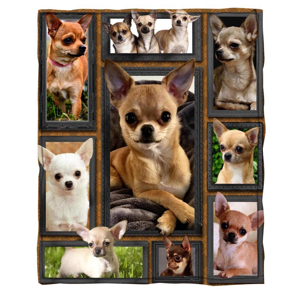 3D Chihuahua Dog Flannel Blanket - Soft Plush Throw Blanket for Bed, Sofa & Couch - Cozy Home Decor (60