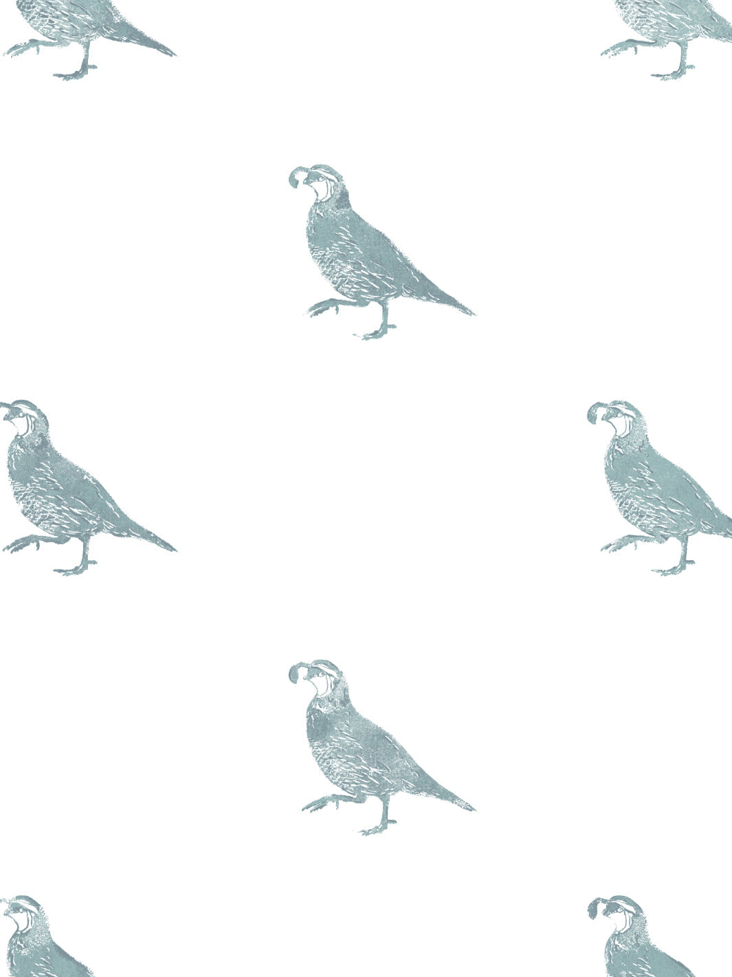 Nathan Turner California Quail Wallpaper - Premium Seafoam Green Peel & Stick Wallpaper for Home Decor, Nursery, Bedroom, and Living Room