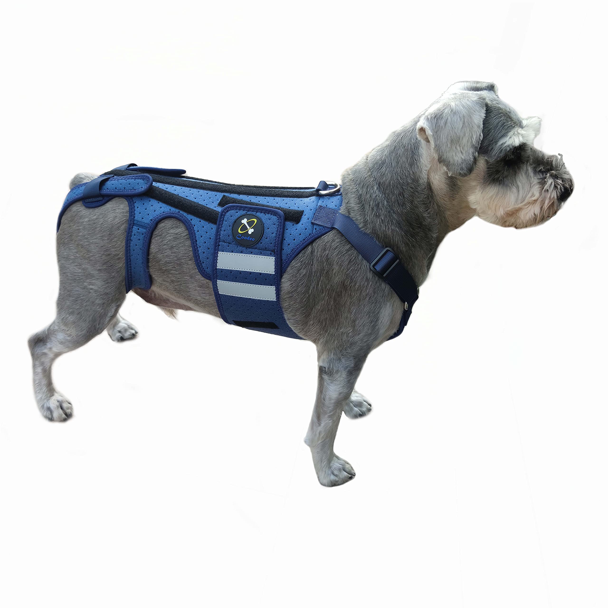 COODEO Dog Back Brace for Arthritis & IVDD - Adjustable Pet Back Support for Pain Relief, Surgical Recovery & Rehabilitation - Medium Size for Dogs - Perfect for Post-Surgery Care & Mobility Support