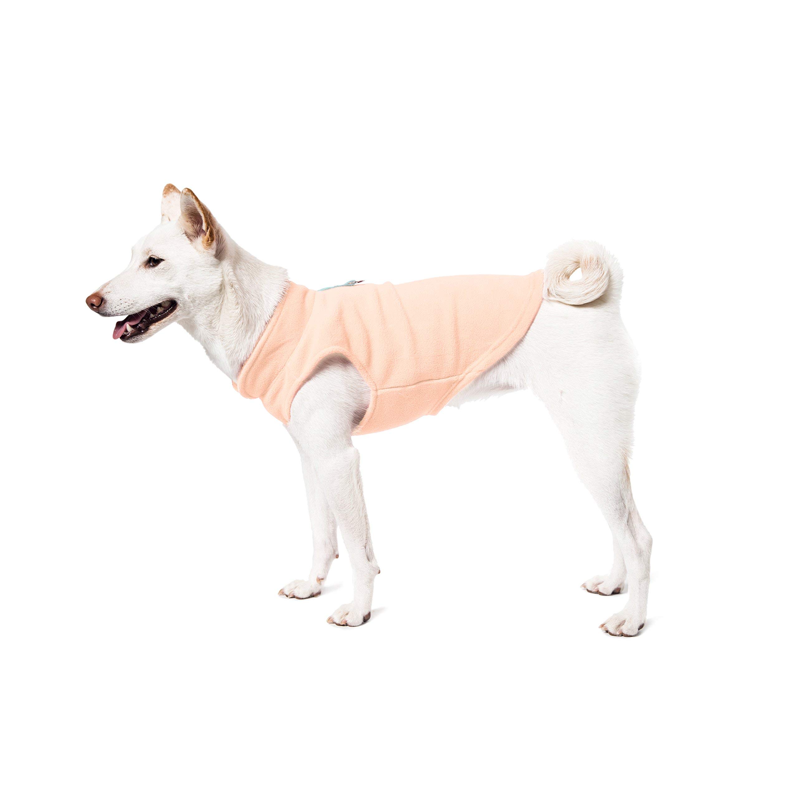 Gooby Fleece Vest Dog Sweater - Small Warm Pullover Fleece Jacket with O-Ring Leash for Small Dogs - Winter Dog Coat for Cold Weather - Perfect for Outdoor Walks & Indoor Comfort (Lime Green)