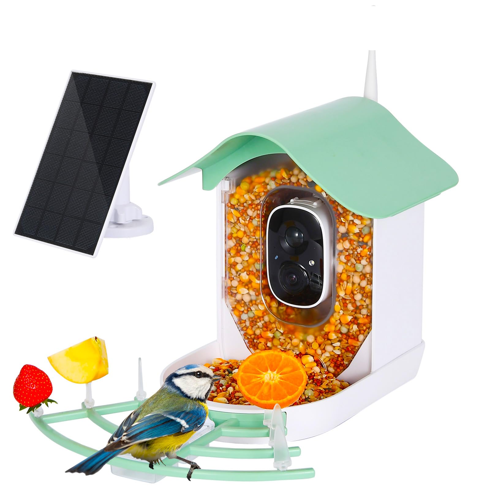 Smart Bird Feeder Camera with AI Species Identification - HD 1080P Wireless Bird Watching Camera with Night Vision & Instant Alerts - Perfect Gift for Bird Lovers (Backyard, Garden, Patio Use)