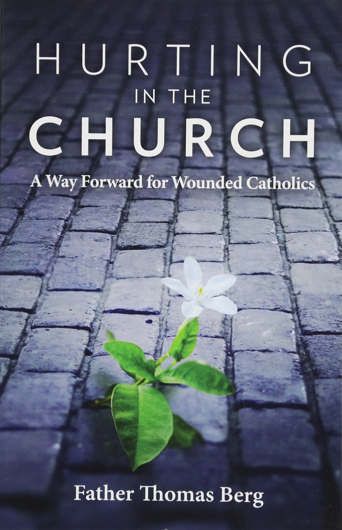 Healing from Church Hurt: A Guide for Wounded Catholics - Find Spiritual Renewal & Community Support