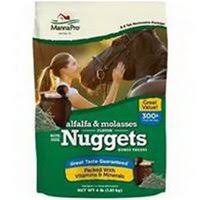 Alfalfa Molasses Flavored Bite-Sized Nuggets for Horses - 1 lb Bag | Healthy Equine Treats for Training & Rewards