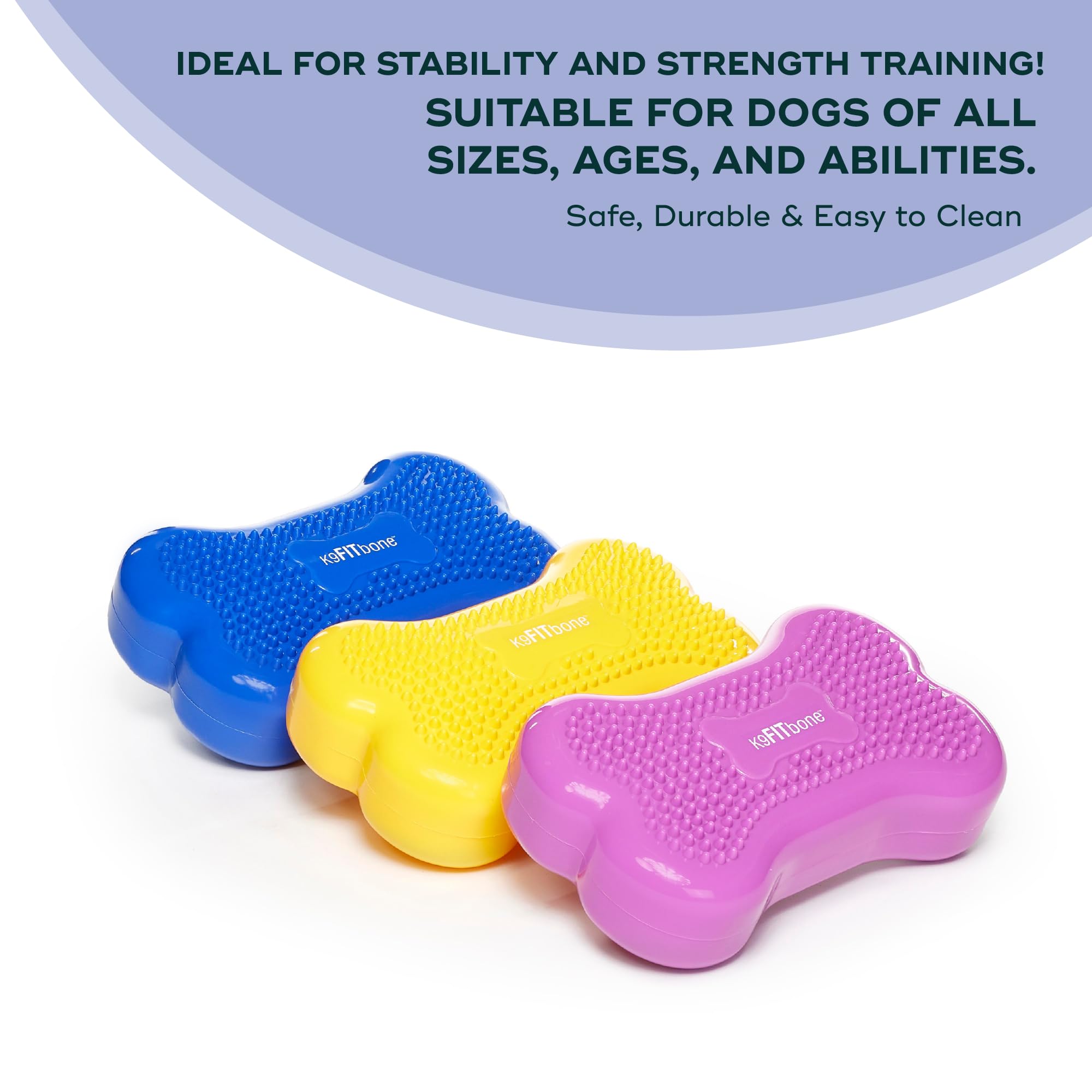 FitPAWS K9FITbone Mini Dog Balance Training Platform - Set of 2, Razzleberry | Canine Exercise Equipment for Strength, Core & Stability Training | Perfect for Home Workouts, Rehabilitation & Agility Training