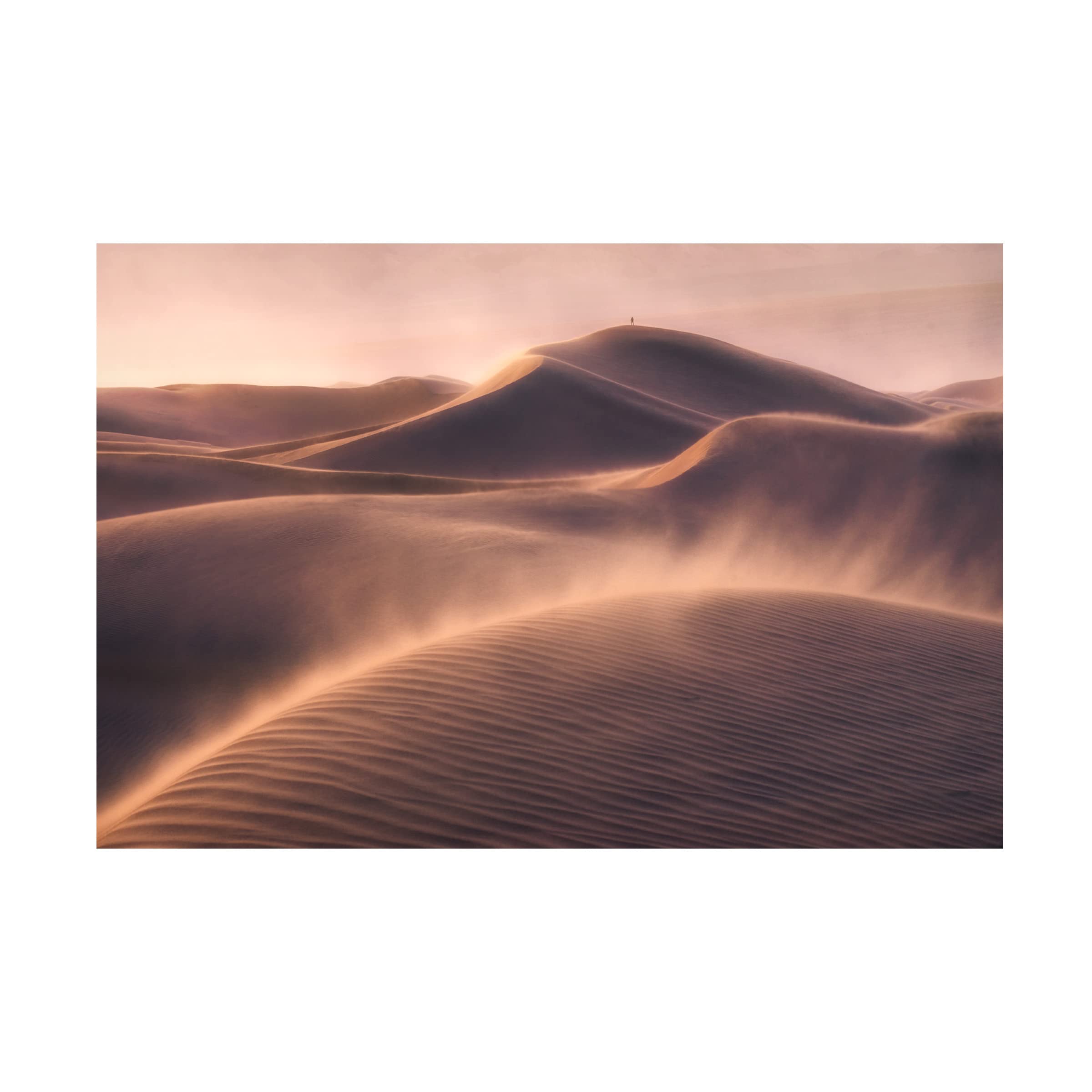Trademark Fine Art 'Viento De Arena' Canvas Wall Art Print by Inigo Cia - Desert Wind Landscape Painting for Living Room, Bedroom & Office Decor