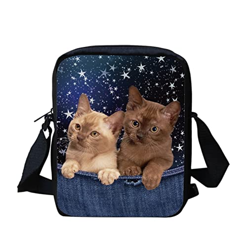 Funny Cat Animal