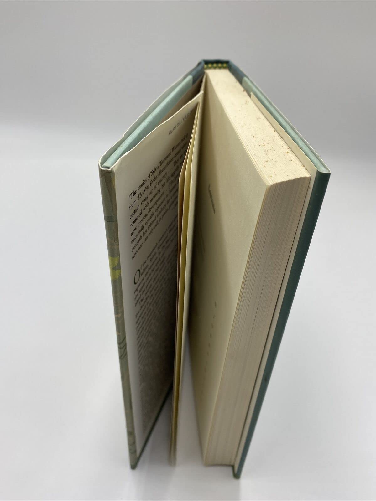 The Music at Long Verney: Short Stories Collection - Perfect for Book Lovers, Literary Enthusiasts & Relaxing Evenings