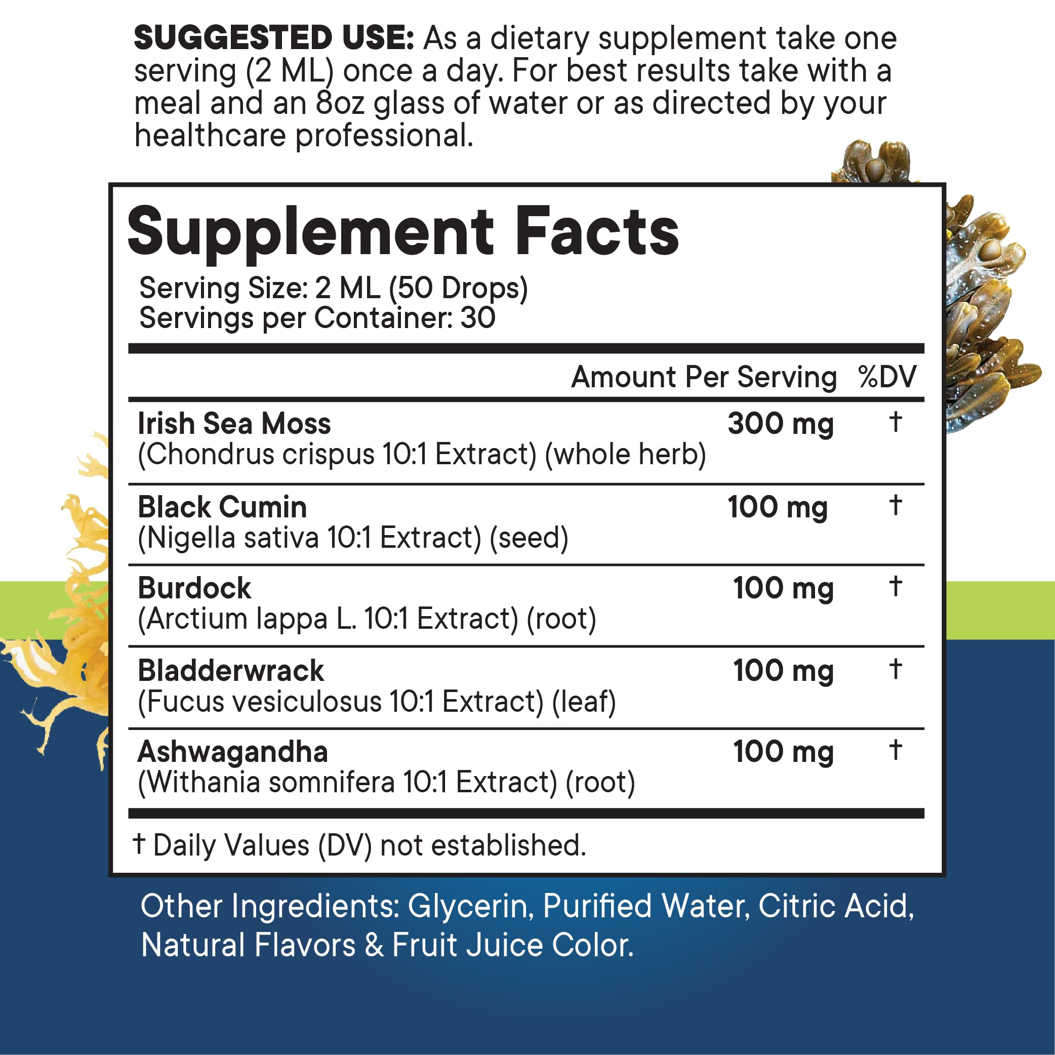 Organic Sea Moss Liquid Drops with Black Seed Oil, Ashwagandha & Burdock Root - Vegan Multimineral Supplement for Immune Support, Energy & Detox - Non-GMO, Silica-Rich Formula (2 Pack) - Perfect for Daily Wellness Routine & Holistic Health Enthusiasts