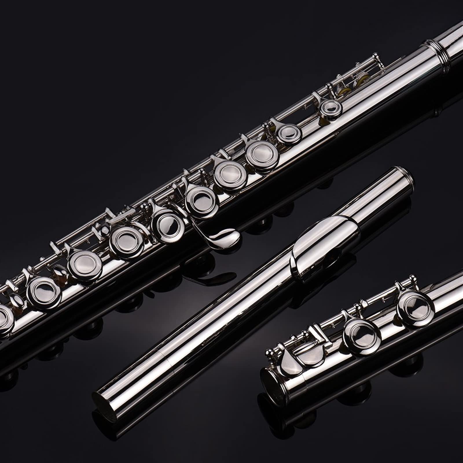 Silver Plated 16 Hole C Key Cupronickel Student Flute - Wind Instrument with Cleaning Cloth, Rod & Gloves - Perfect for Beginners, School Bands & Music Practice