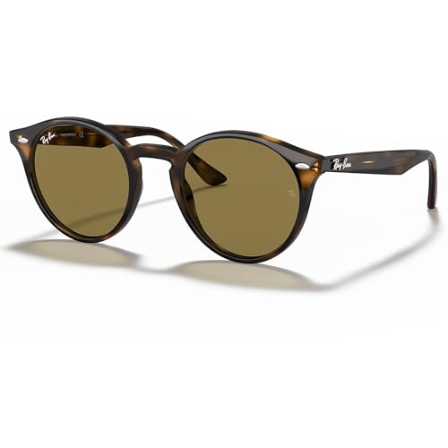 Polished Light Havana Frame | B-15 Brown Lens