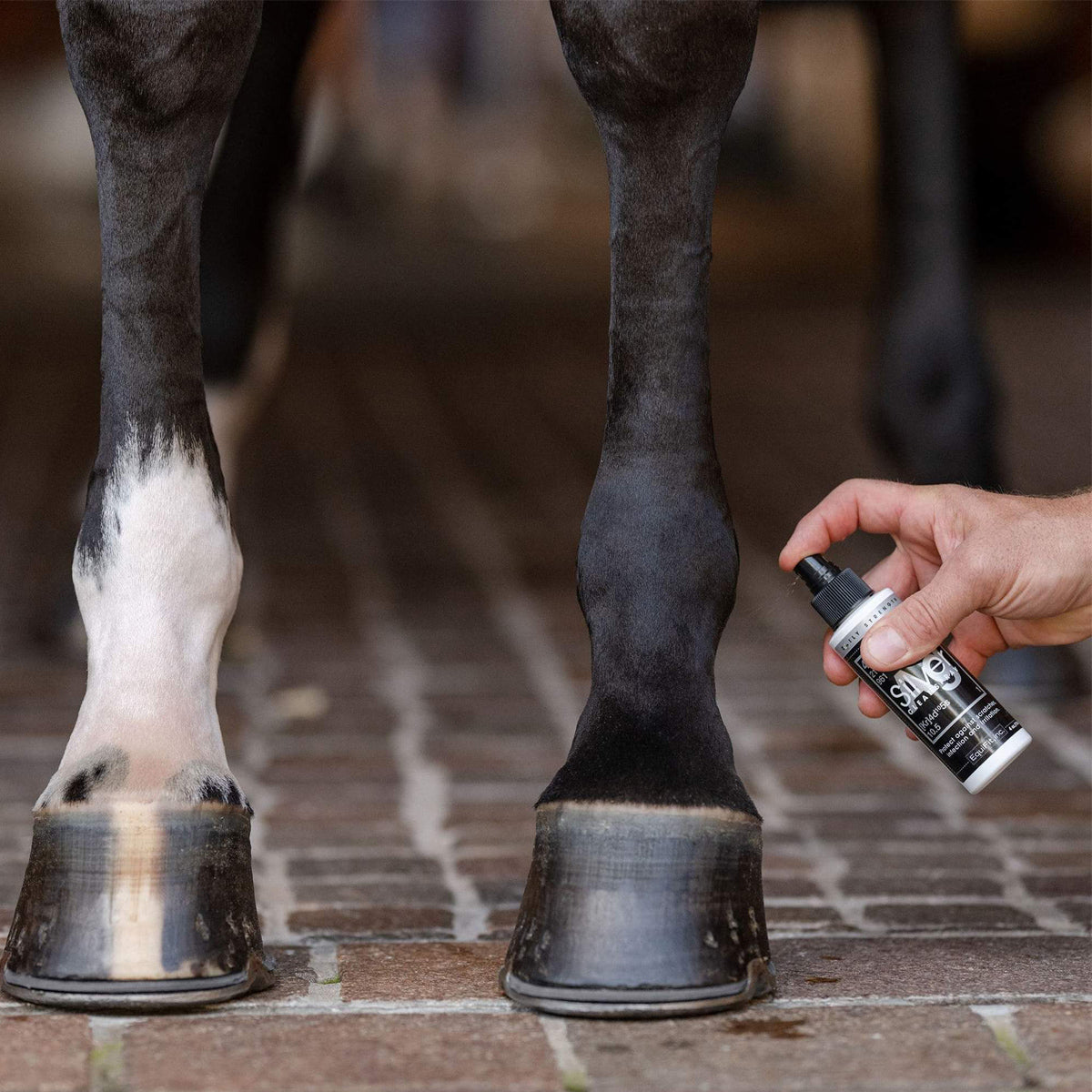 AG Silver Wound Spray - Fast Healing First Aid Solution for Cuts, Scrapes & Burns | Perfect for Home, Travel & Outdoor Emergencies