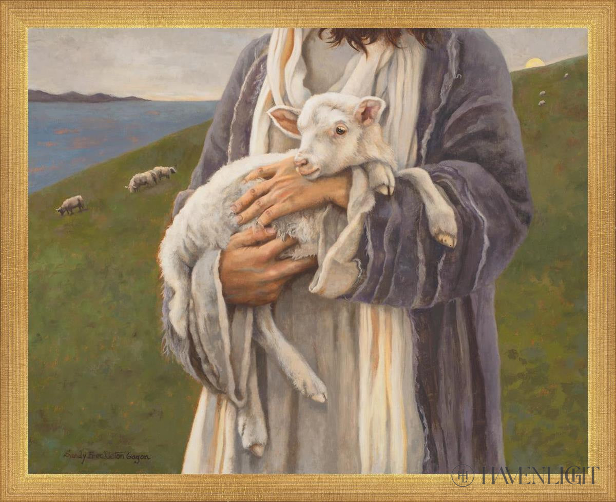 Amazing Grace by Sandy Freckleton Gagon - Inspirational Christian Book for Worship, Bible Study & Gift Giving