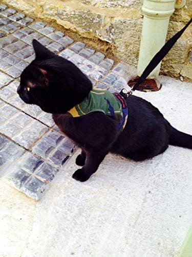 Mynwood Cat Jacket Harness - Green Combat Style Adjustable Pet Vest for Adult Cats - Perfect for Outdoor Adventures, Hiking & Safe Walks