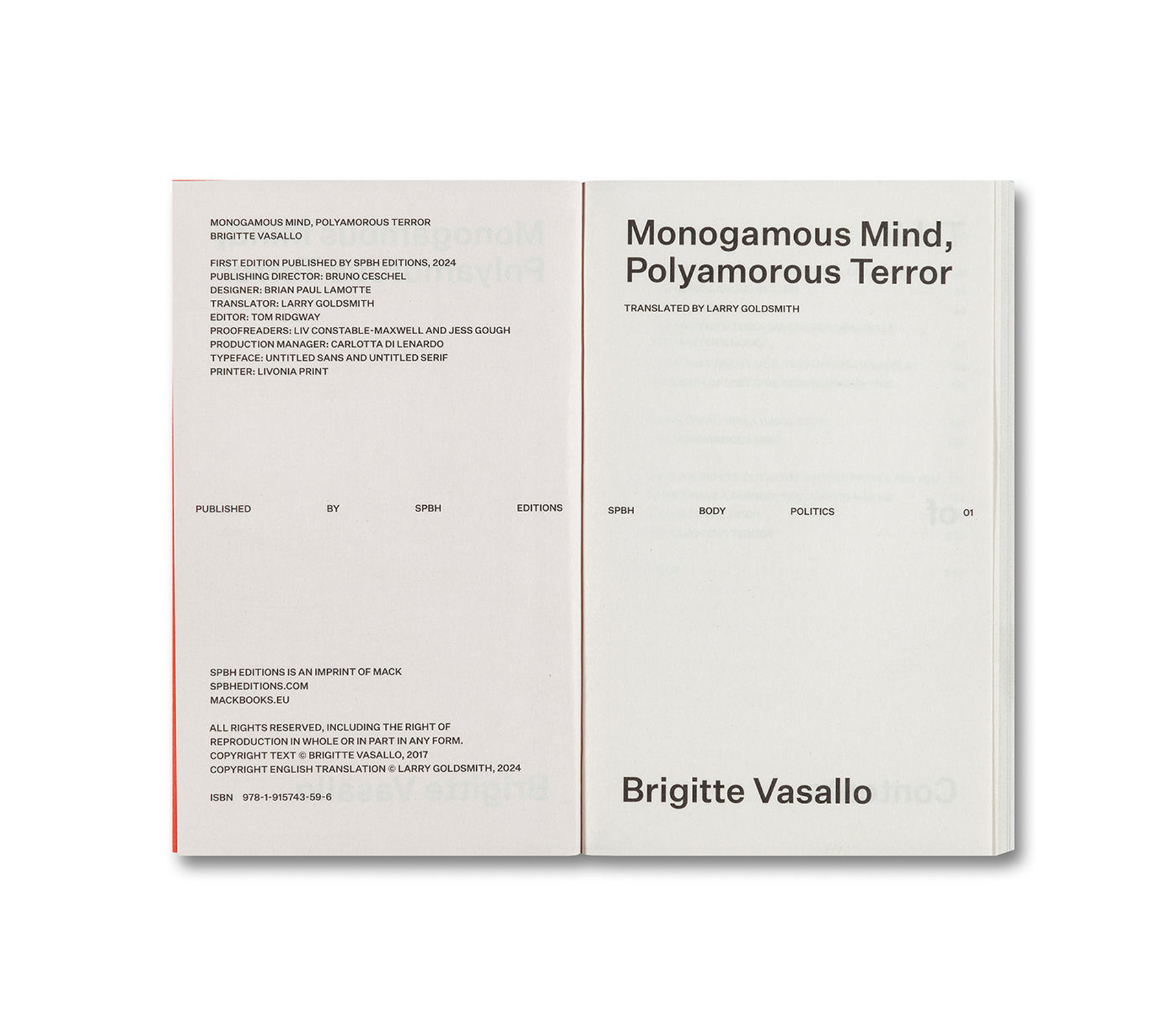 MONOGAMOUS MIND, POLYAMOROUS TERROR by Brigitte Vasallo - Relationship Exploration Book on Modern Love & Non-Monogamy - Perfect for Couples Therapy, Polyamory Discussions, and Social Psychology Studies