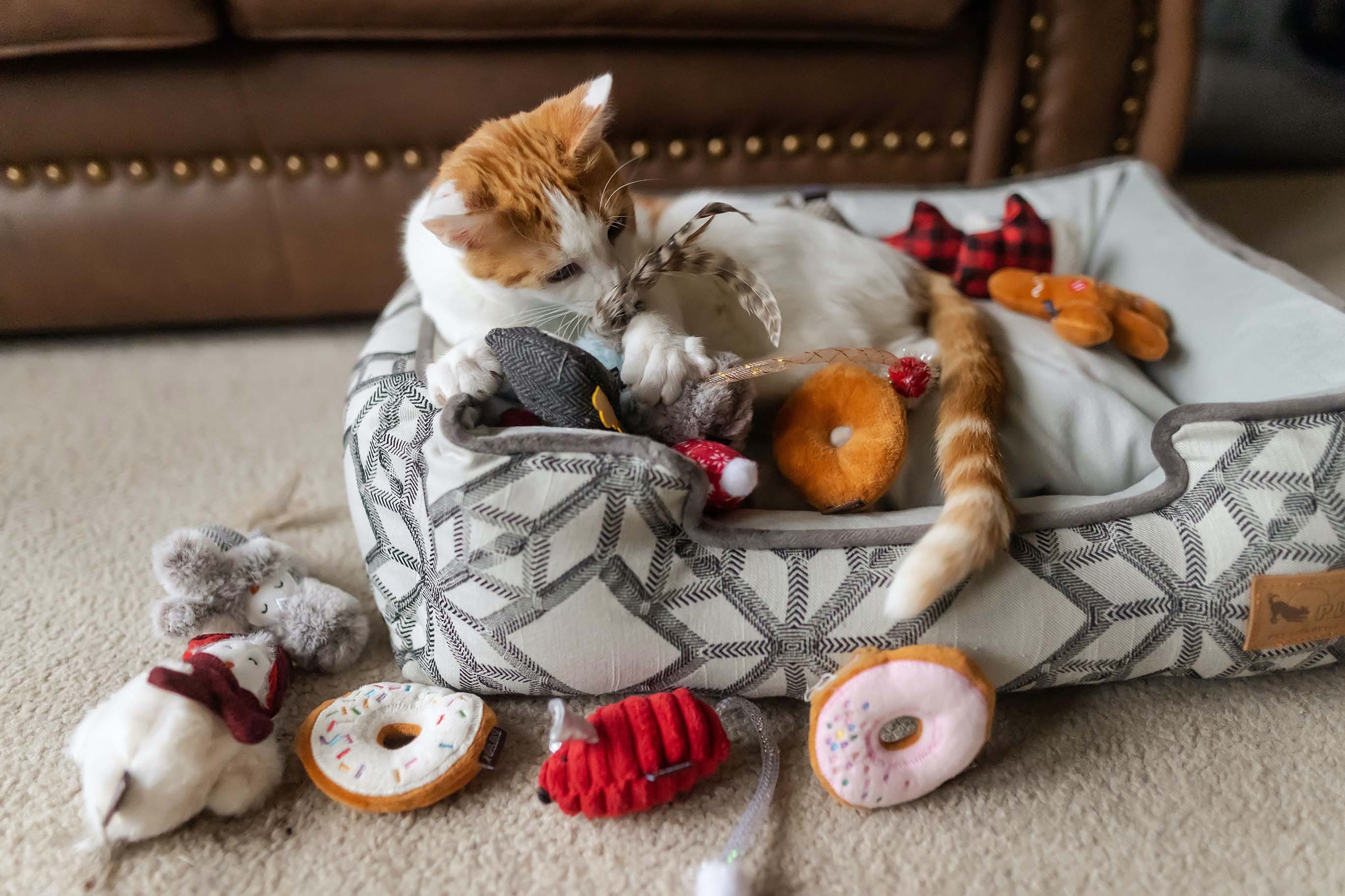 P.L.A.Y. Feline Frenzy Catnip Toy Set - 3 Adorable Owl-Shaped Cat Toys with Organic Catnip | Interactive Play & Stress Relief for Indoor Cats | Perfect for Playtime, Training & Bonding