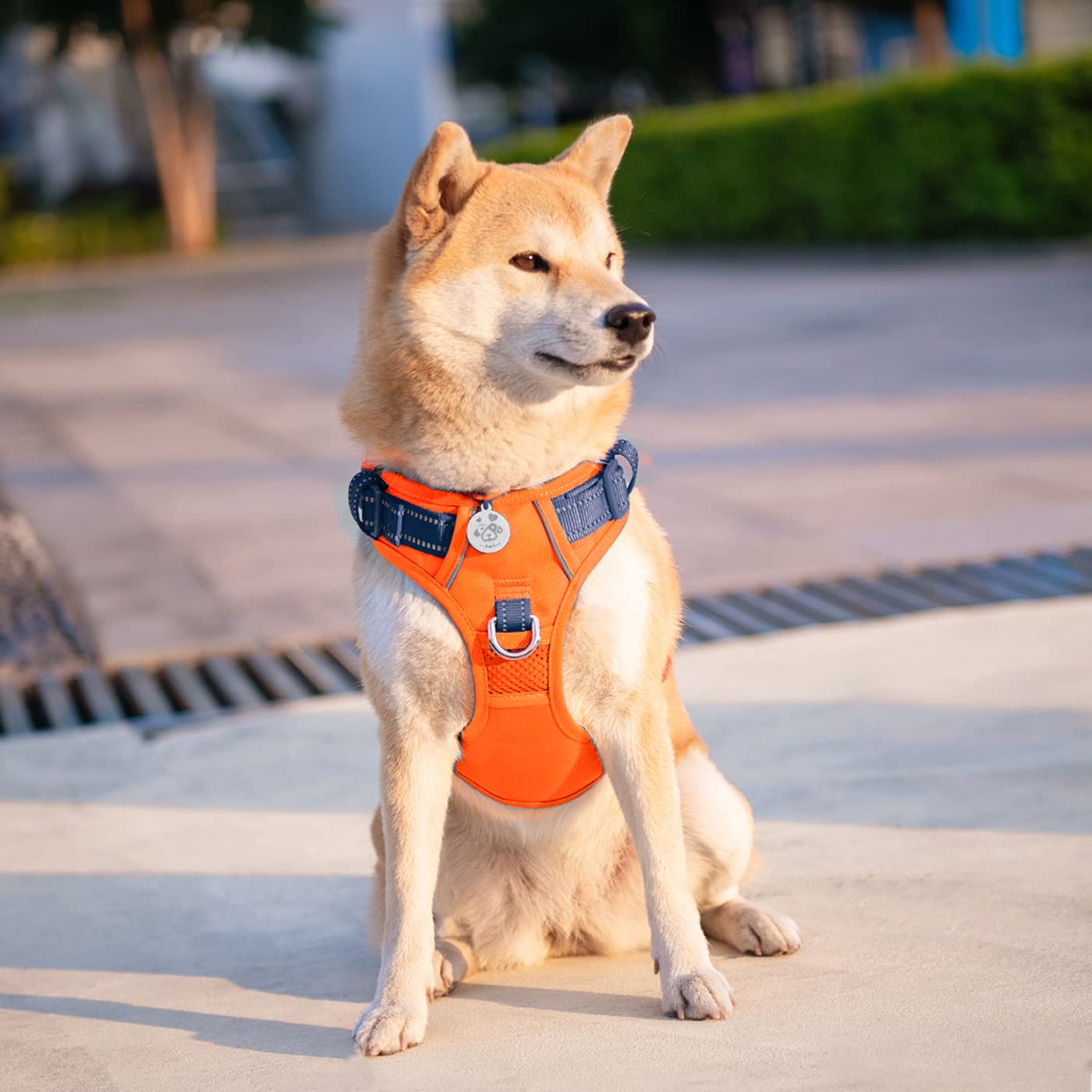 PHOEPET No Pull Reflective Adjustable Dog Harness with Soft Training Handle - Breathable Vest for Small Medium Large Dogs (Orange/Blue, Medium) | Perfect for Walking, Running & Outdoor Adventures