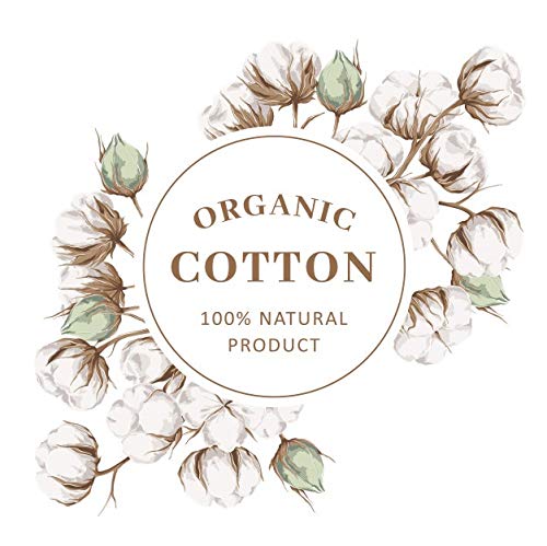 Organic Cotton Box Stitched Down Alternative Comforter - 500 GSM All-Season Lightweight Bedding - Luxurious Soft & Fluffy Oversized Queen Comforter in Beige - Perfect for Cozy Nights, Guest Rooms & Modern Bedroom Decor