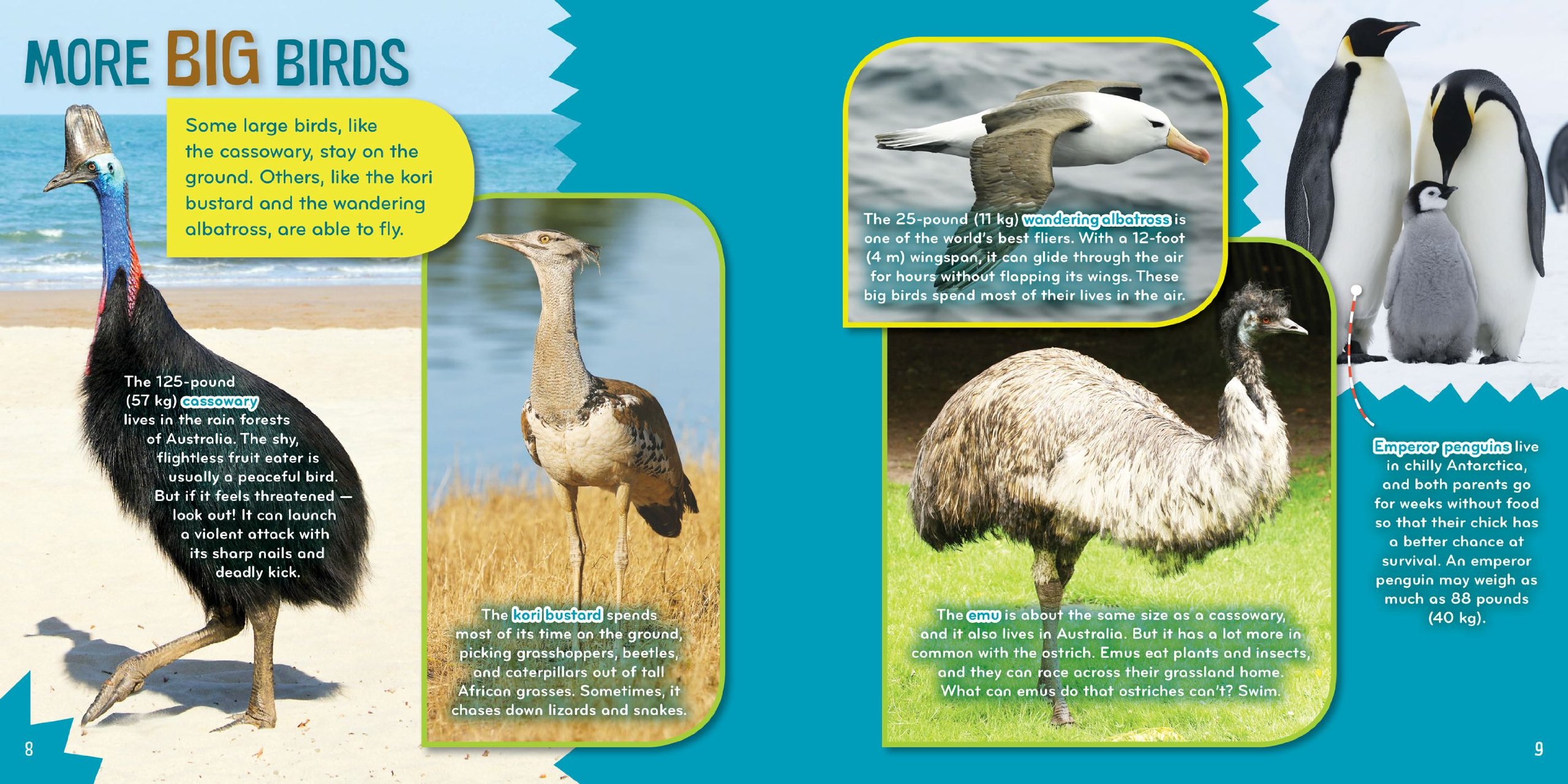 Bird-acious (6) - Fun Science Book for Kids with Interactive Bird-Themed Activities | Perfect for Homeschooling & Classroom Learning