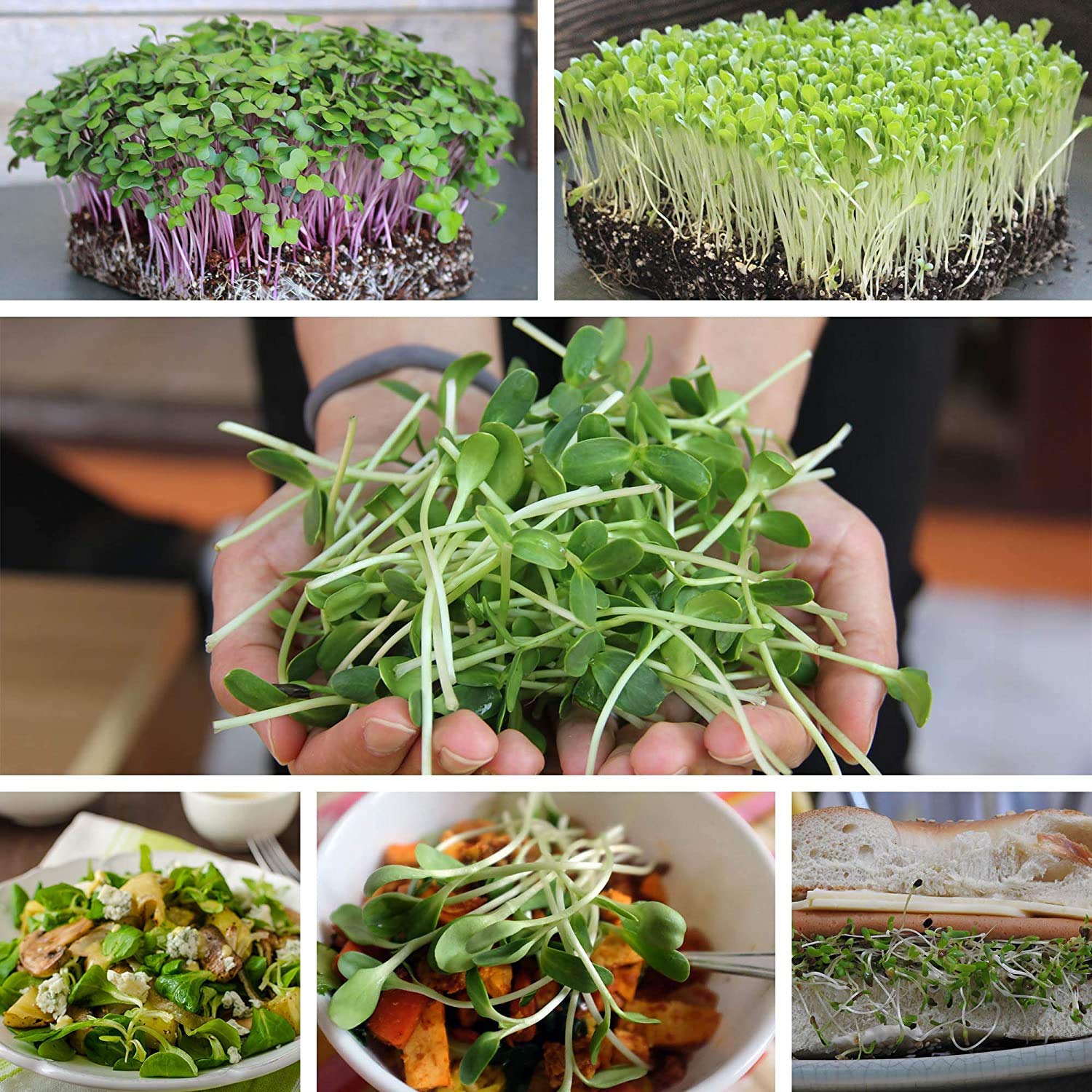 Organic Hydroponic Grow Pads for Wheatgrass & Microgreens - 100 Pack Micro-Mats for Seed Germination - Fits 20