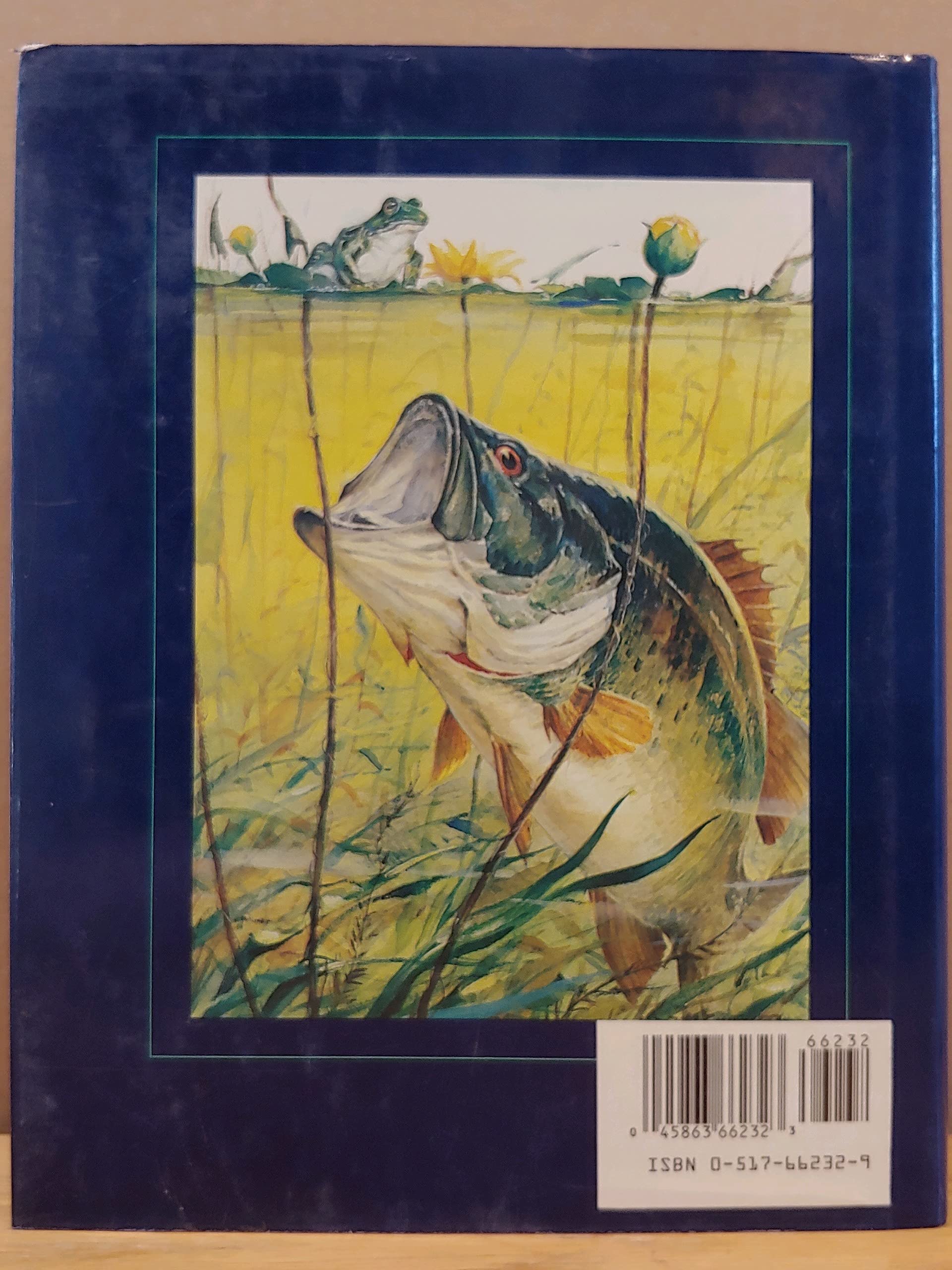 **Fishing Encyclopedia: Ultimate Guide to Tackle & Tactics for Freshwater & Saltwater Anglers – Perfect for Beginners & Experts**    *(Use Cases: Ideal for fishing trips, outdoor adventures, and improving angling skills in lakes, rivers, and oceans.)*