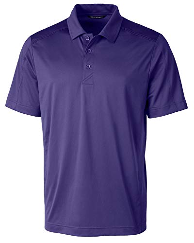 College Purple