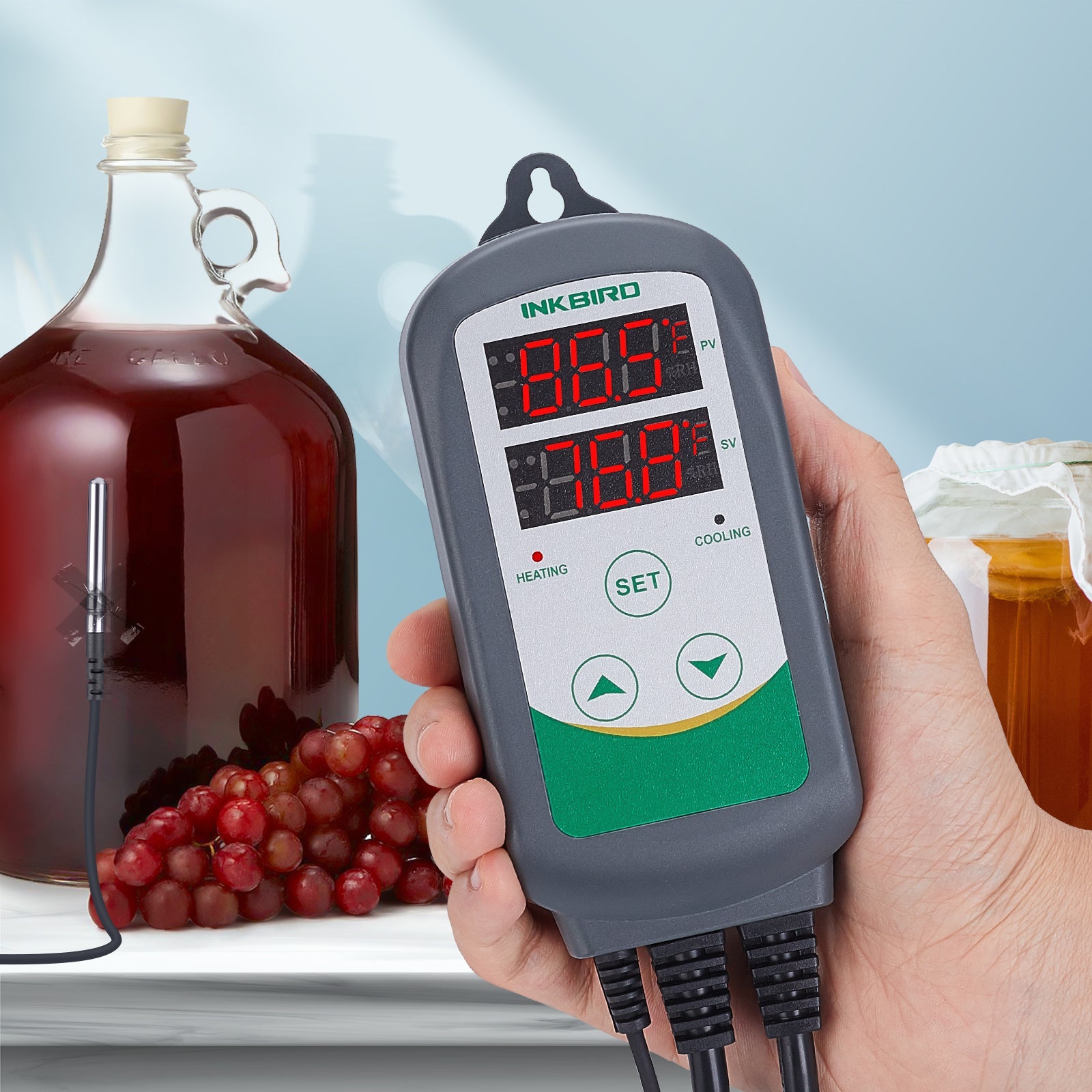 ITC-308 Digital Temperature Controller for Homebrewing, Aquariums & Reptile Tanks - Precise Thermostat with Dual Display