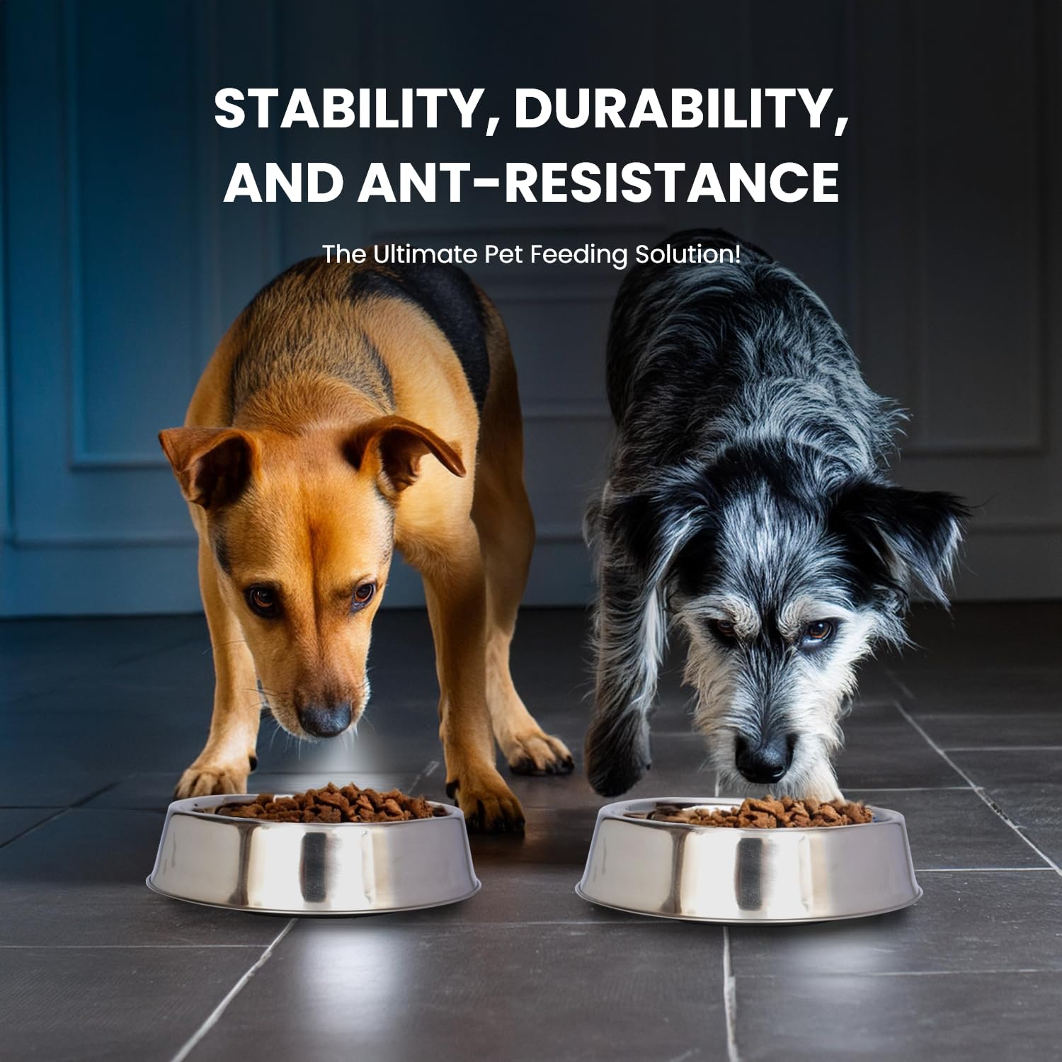 Stainless Steel Non-Slip Pet Bowl for Dogs & Cats - Raised Rim, Dishwasher Safe Dog & Cat Food & Water Bowl - 24oz - Perfect for Home, Travel & Outdoor Use