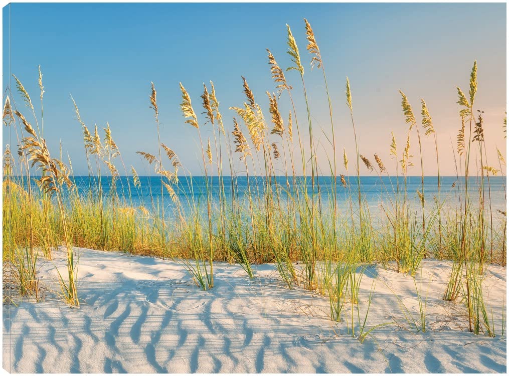 Dennis Frates Sand & Sea Fine Art Canvas Wall Decor - 43x32 Inch Ready to Hang Painting for Living Room, Bedroom, Office - Coastal Beach Theme Home Decor - Perfect for Beach Houses, Vacation Homes & Nautical Interior Design