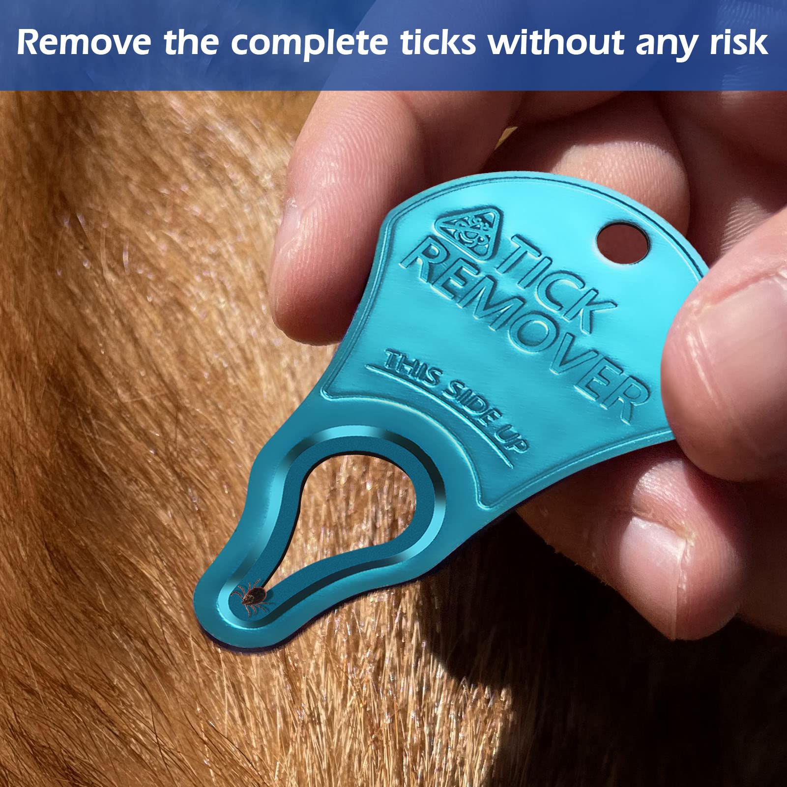 3 Pack Tick Remover Tool for Pets & Humans - Safe, Fast & Painless Tick Removal Kit - Essential First Aid Tool for Hiking, Camping & Outdoor Adventures - Portable Emergency Tick Tweezers for Dogs, Cats & Family Protection