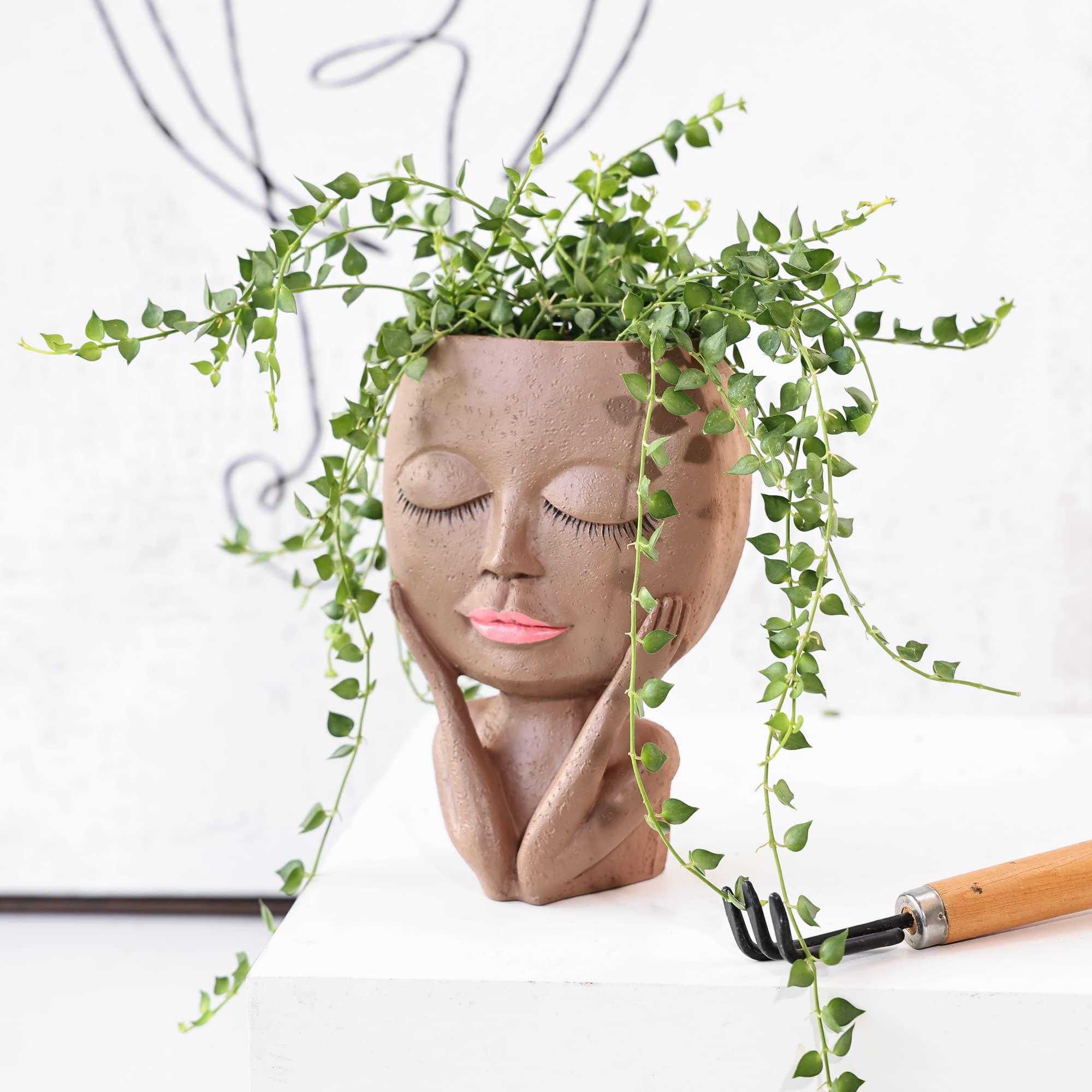 AIMEBBY Cute Resin Face Flower Pot Head Planter with Drainage Hole - Perfect for Succulents, Cactus & Small Plants - Ideal for Home Decor, Office Desk & Gift Giving