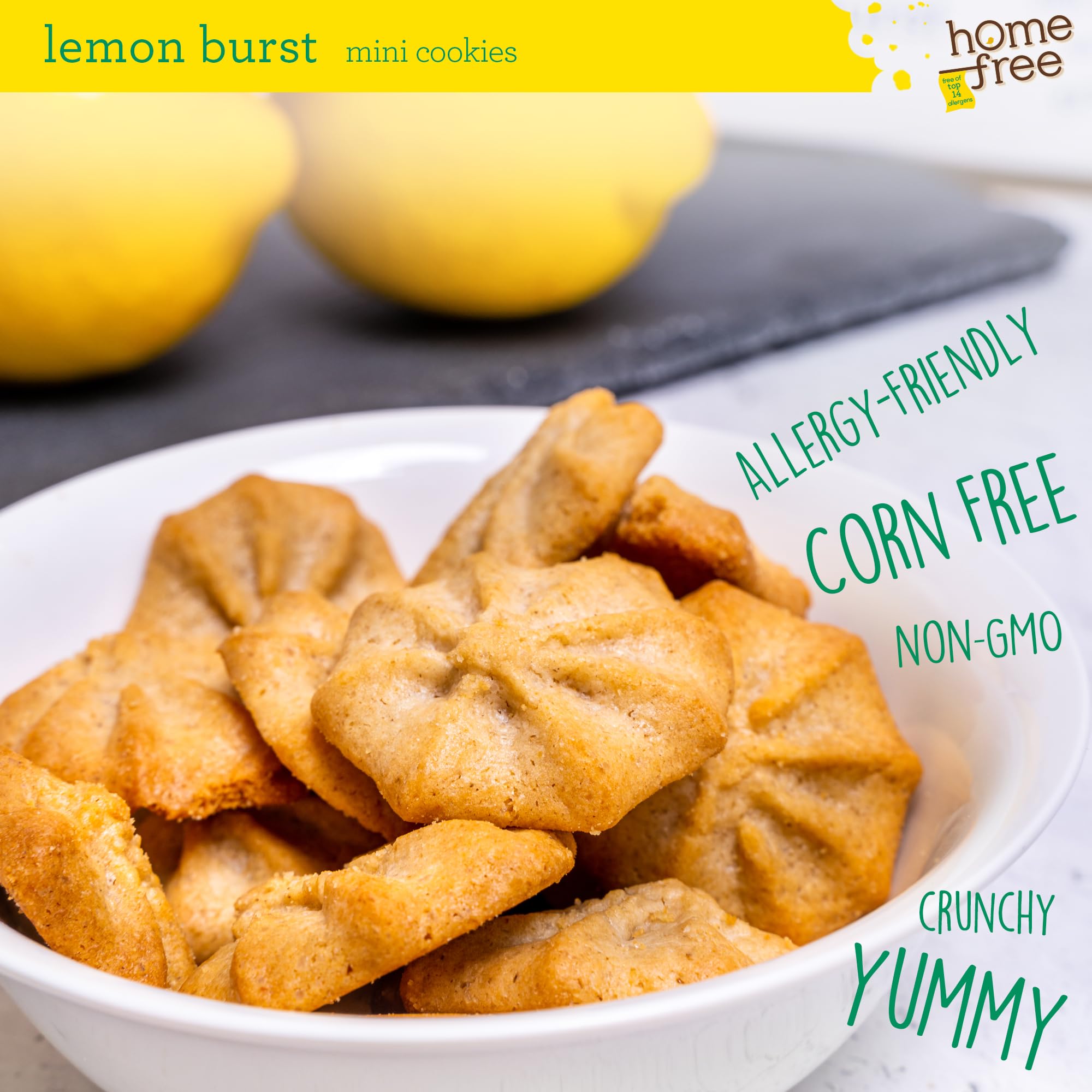 Gluten Free Vegan Lemon Cookies - Nut Free, Allergy Friendly Snacks for School & Travel - 5 Oz, Made in USA