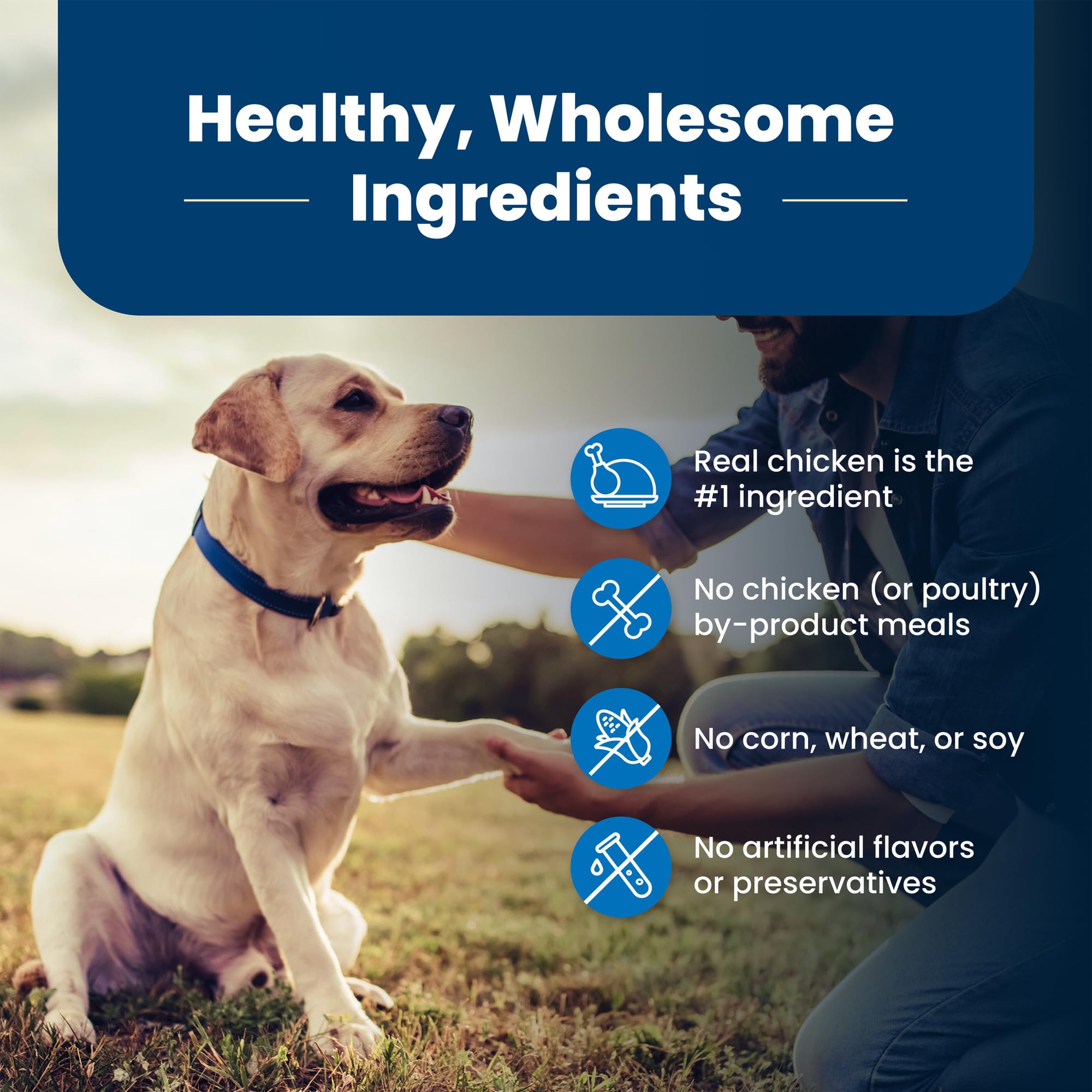 Blue Buffalo Life Protection Formula Senior Dry Dog Food for Joint Health & Mobility - Natural Chicken & Brown Rice Recipe, 34lb Bag | Ideal for Aging Dogs with Arthritis or Mobility Issues