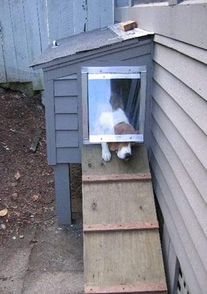 Chew Proof & Weather Resistant Metal Dog Door for Large Dogs (120-200 lbs) - Energy Efficient 18