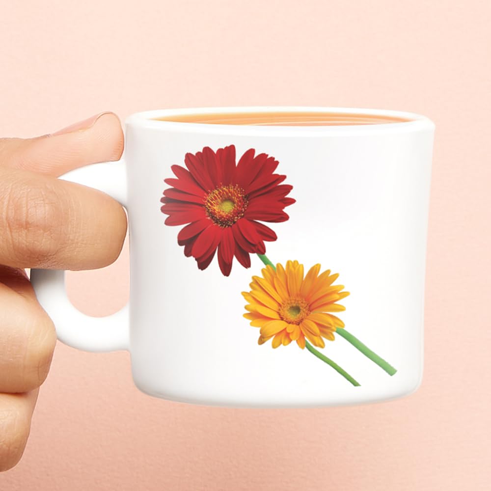 BOROSIL Zinnia Opalware Tea & Coffee Mugs Set of 6 (100ml Each) - Microwave & Dishwasher Safe, Bone-Ash Free - Elegant White Crockery for Daily Use, Gifts, Home, Office & Restaurants