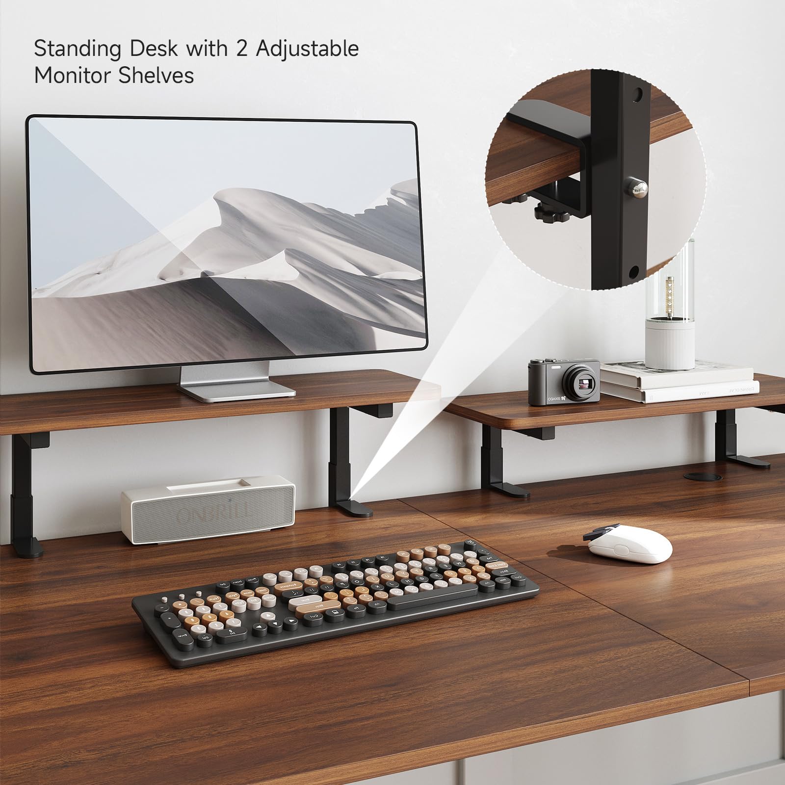 Electric Standing Desk 71 x 24 Inches - Adjustable Height (28-46
