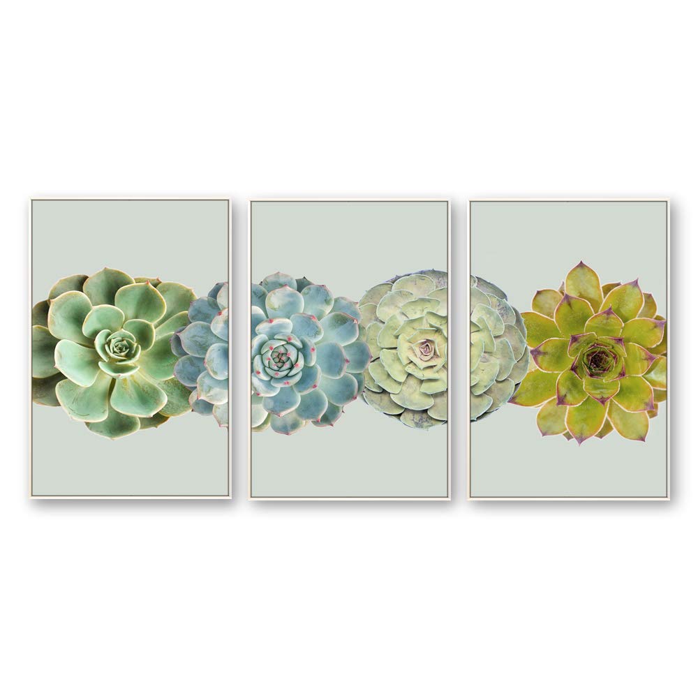 IDEA4WALL Framed Canvas Wall Art Set - 3 Panel Cactus & Plant Prints (16