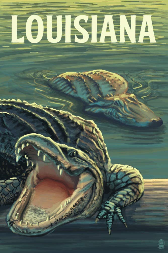 Louisiana Alligators Giclee Art Print - 36x54 Travel Poster for Wall Decor | Perfect for Home, Office & Gift Giving
