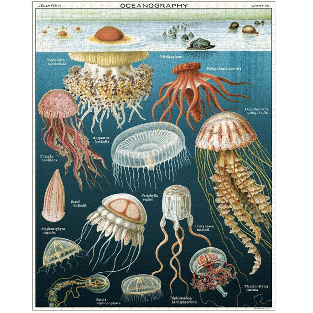 1000 Piece Jellyfish Jigsaw Puzzle - Ocean Themed Adult Puzzle for Relaxation & Stress Relief - Perfect for Family Game Night & Home Decor