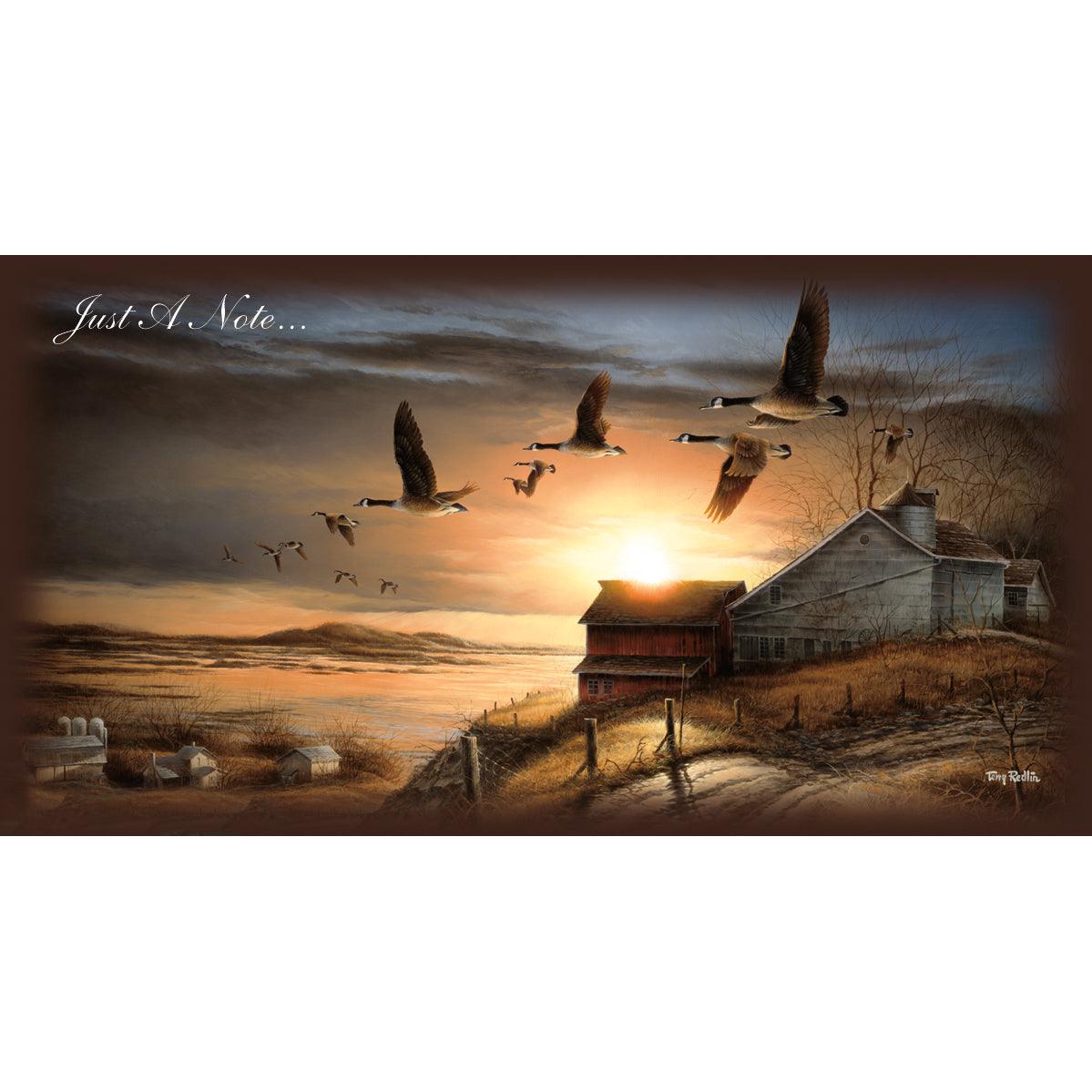 Clear View Canada Geese Decoy - Realistic Hunting Decoys for Waterfowl Hunting, Bird Control & Outdoor Decor | Perfect for Lakes, Ponds & Backyards