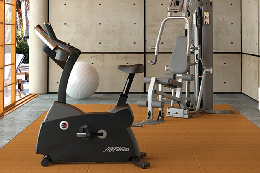 Life Fitness C3 Lifecycle Upright Exercise Bike - Commercial Grade Indoor Cycling Bike for Home & Gym Use - Perfect for Cardio Workouts, Weight Loss & Fitness Training